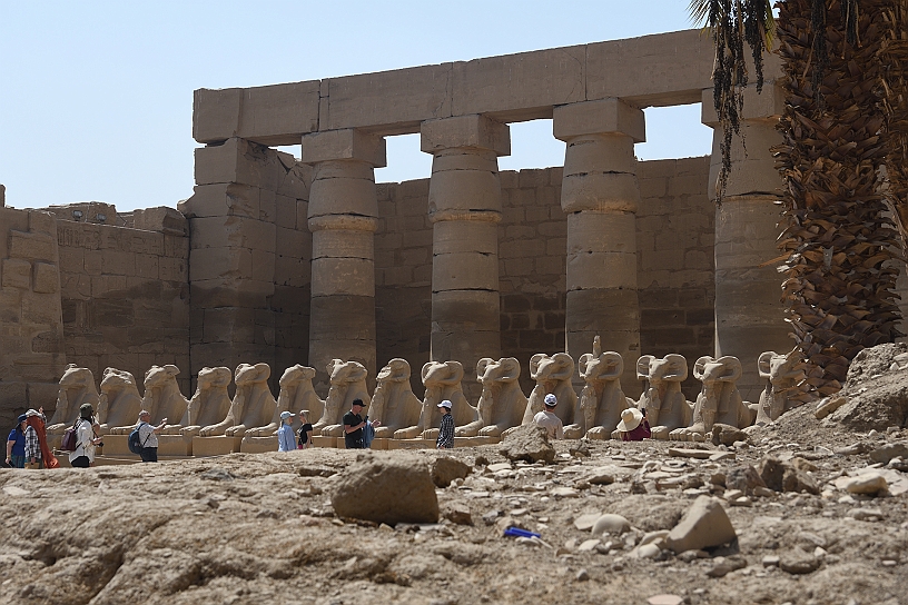 17 MAK_6101.jpg - Sulla destra ancora statue di sfingi con la testa di un ariete sul corpo di un leone.